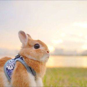 Meet your Posher, Ting